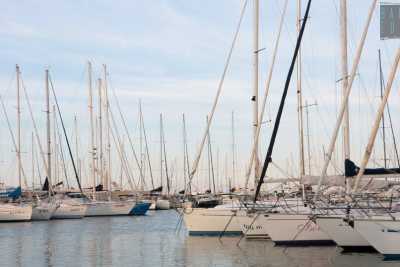 Barche a vela, canottaggio, mare e regate: la storia dei 6 circoli nautici baresi